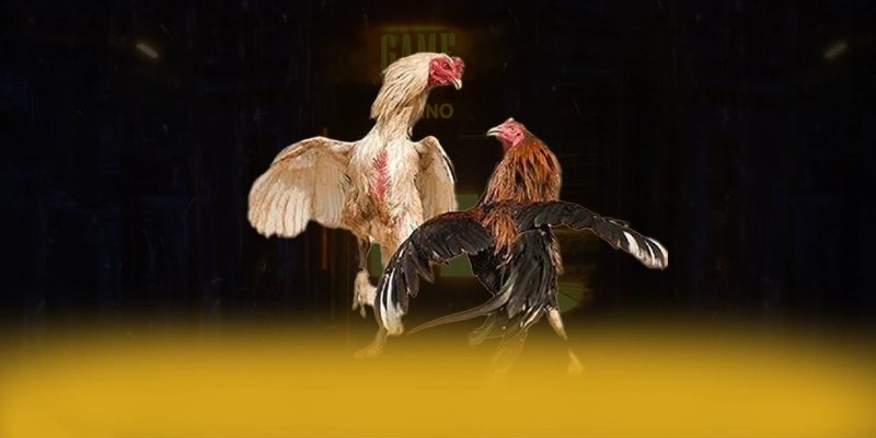 Vb777 - Trang game sở hữu kho game phong phú trong cộng đồng game thủ – Khám phá Vb777