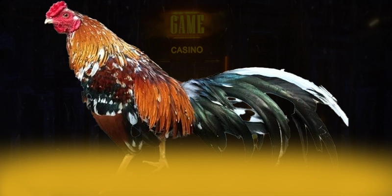 LC88 – Nhà cái được tin dùng, được cộng đồng game thủ tin tưởng.