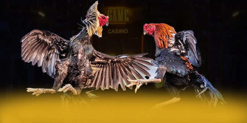 Ưu đãi và khuyến mãi hấp dẫn