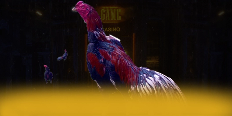 Vinbet - Nền tảng cá cược sở hữu top trò chơi nổi bật 2025 – Trải nghiệm Vinbet