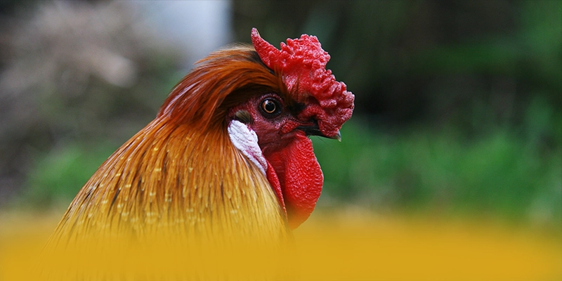 FAFA191 - Sảnh game với chính sách bảo mật hàng đầu được yêu thích hàng đầu – Khám phá hệ thống bảo mật tại FAFA191