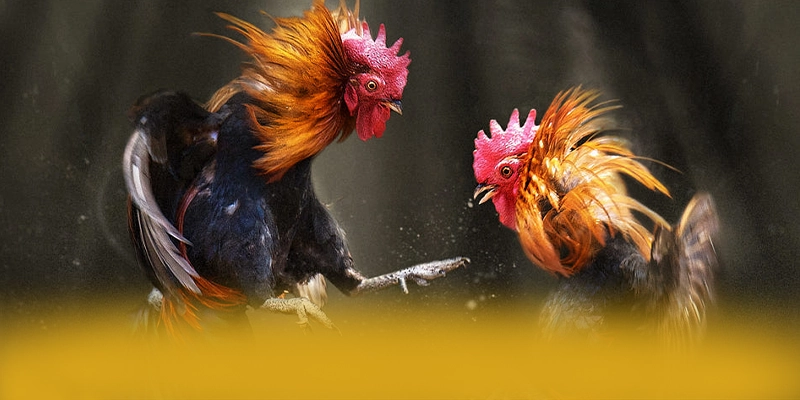 SUNWIN – Sảnh game được nhiều người chơi lựa chọn, được người chơi yêu thích.