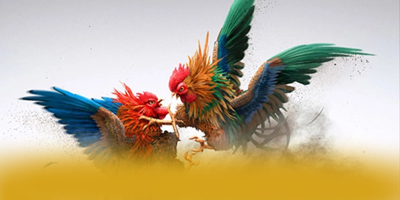 W88 - Thương hiệu minh bạch hiện nay – Đánh giá W88