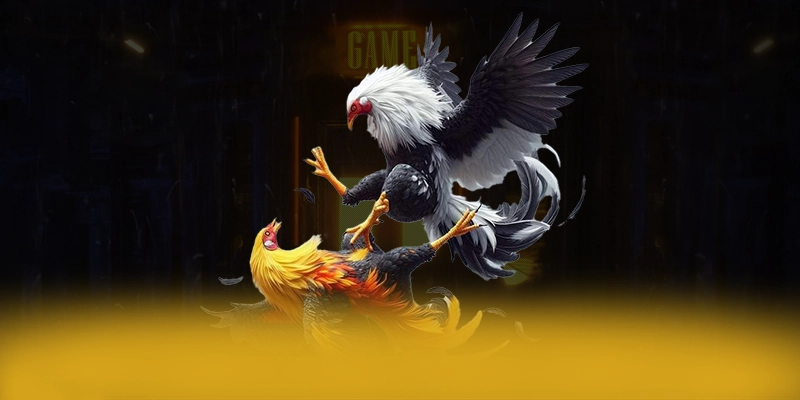 W88 - Cổng trò chơi có quà tặng đặc biệt được yêu thích hàng đầu – Khám phá chương trình W88