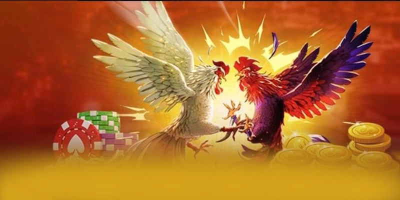 NK88 - Thương hiệu game trực tuyến cực hot được người chơi tin tưởng – Tìm hiểu khuyến mãi độc quyền của NK88