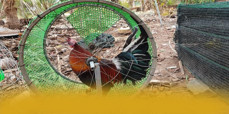 FC88 – Cổng cá cược an toàn tuyệt đối, được cộng đồng game thủ tin tưởng.